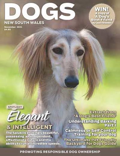 november-2021-cover