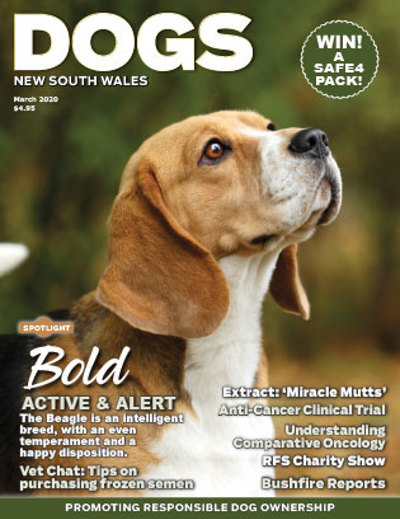 march-cover-2020