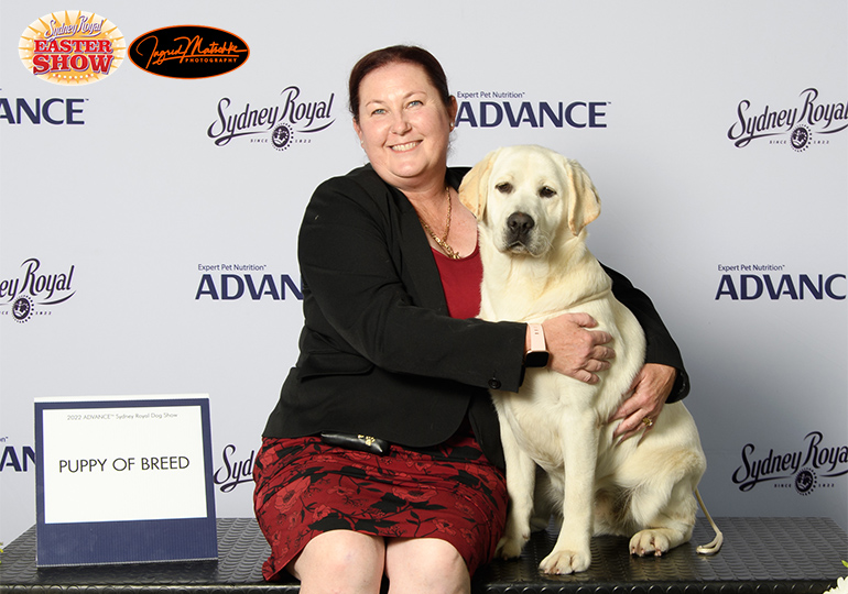 Breeder - Mrs Doreen O'Donnell