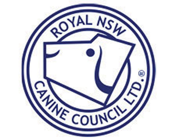 Results of 2025 RNSWCC Board Elections