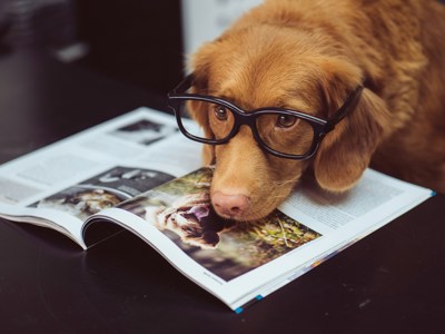 jamie-street-MoDcnVRN5JU-unsplash (1).jpg