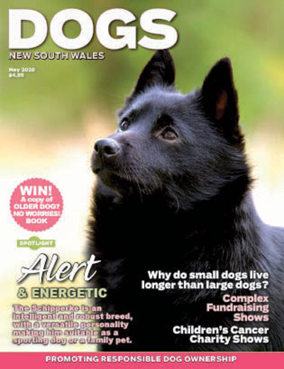 may-cover-2020