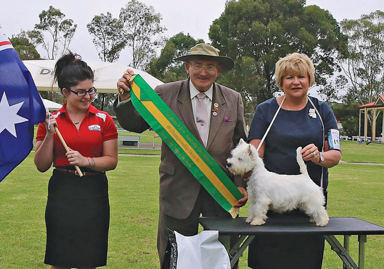 Breeder Gallery Large Image