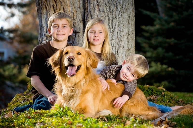 iStock_000004752735Small[1].JPG