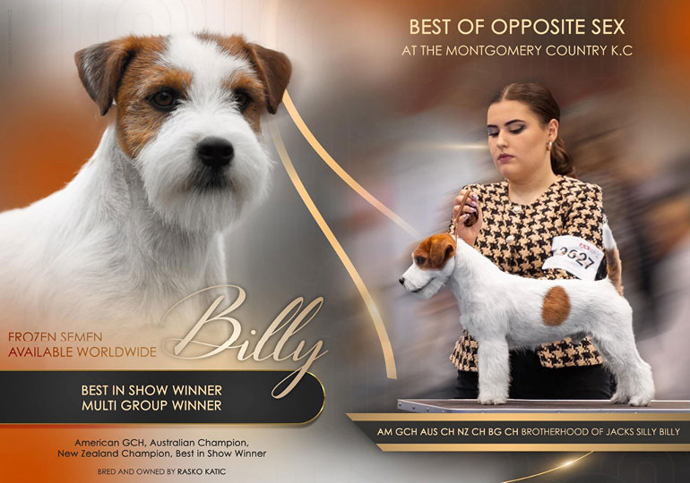 Breeder - Mrs Anita-Kaye Malby