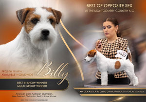 Breeder - Mrs Anita-Kaye Malby