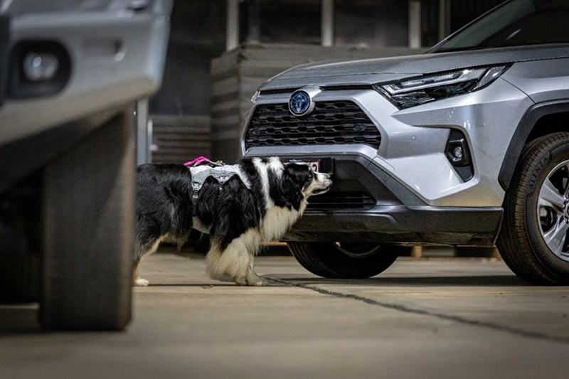 submitted-by-committee-012026