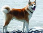 Untitled-1