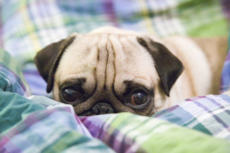 ThinkstockPhotos-127054254.jpg