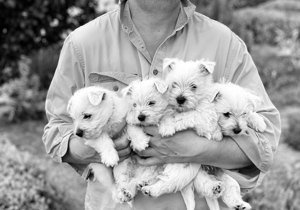 Breeder - Mr Duncan Belfield