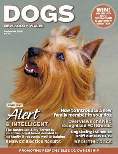 september-cover-2020