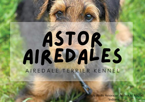 Breeder - Miss Kirby Wright