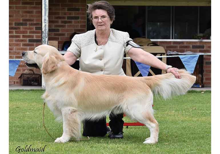 Breeder - Ms Margot Stuckey
