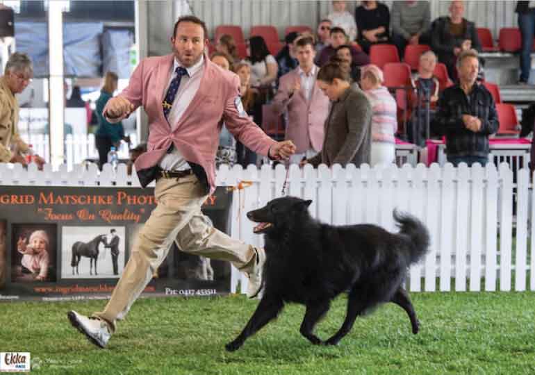 Breeder Gallery Large Image