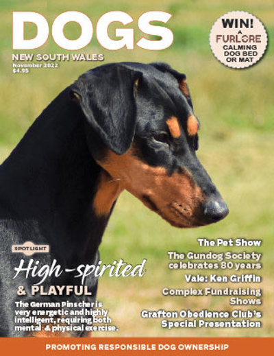 november-2022-cover
