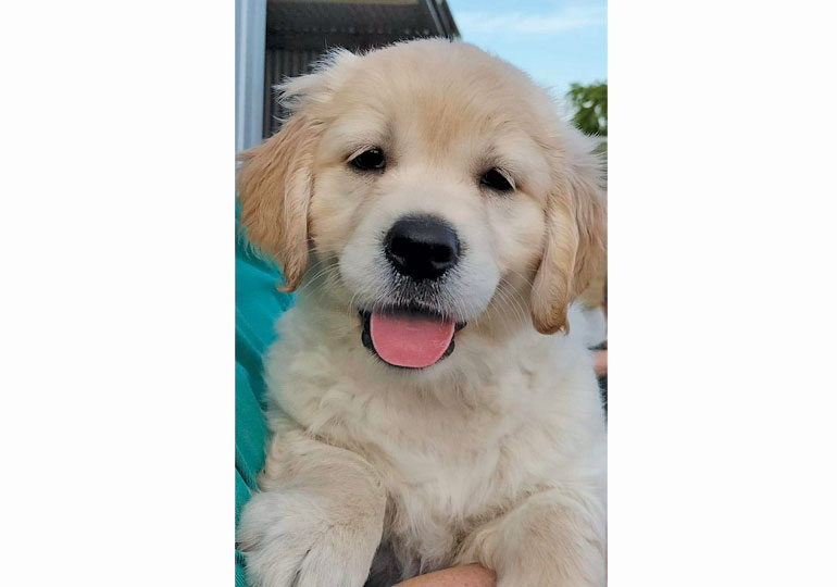 Breeder Gallery Large Image