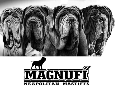 MAGNUFI