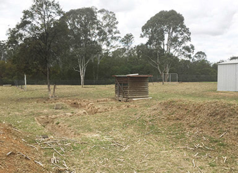 earthdog-area-half-size
