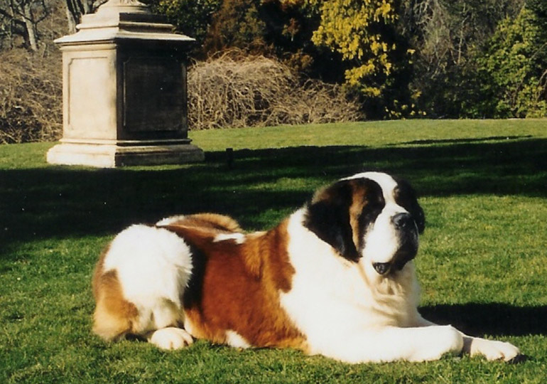 Breeder Gallery Large Image