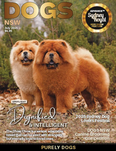 7-july-2025
