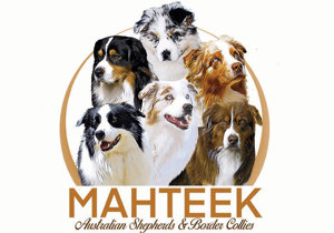 Breeder - Mrs Deidre Masters