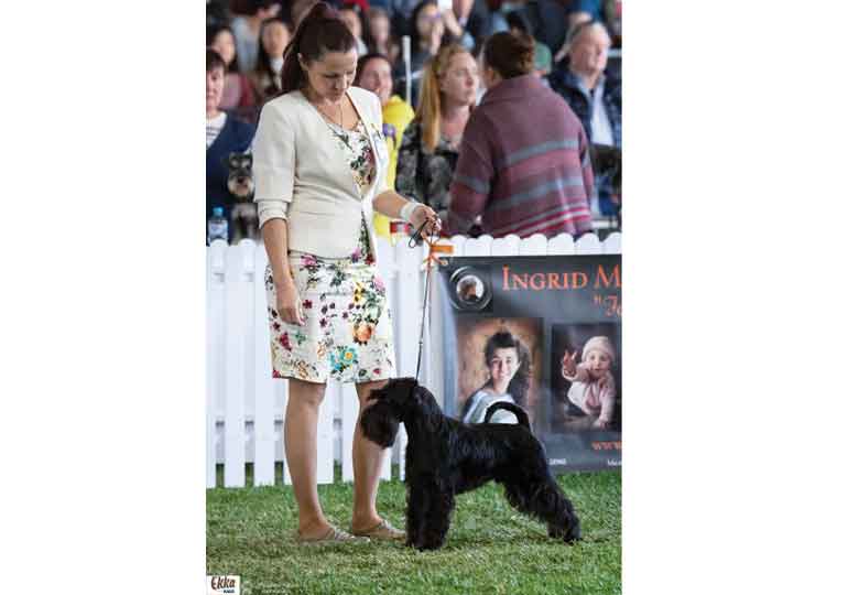 Breeder - Ms Kim Burey