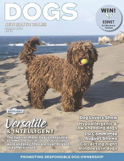 october-2022-cover